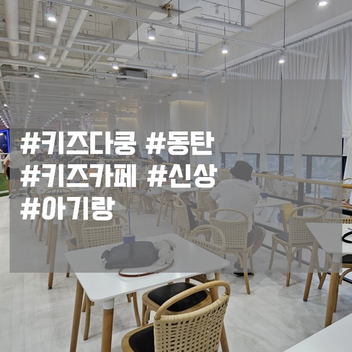 동탄 키즈다쿵 신상 키즈카페 23개월 아기랑 동탄 키즈다쿵 신상 키즈카페 23개월 아기랑