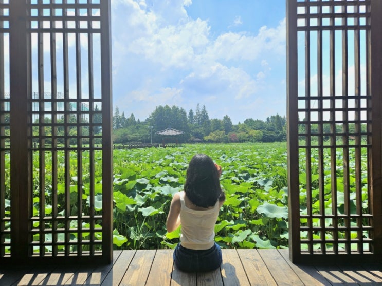  전주 1박 2일 여행/덕진공원/마시랑게 카페/전주한옥마을/한옥호텔/취향회관