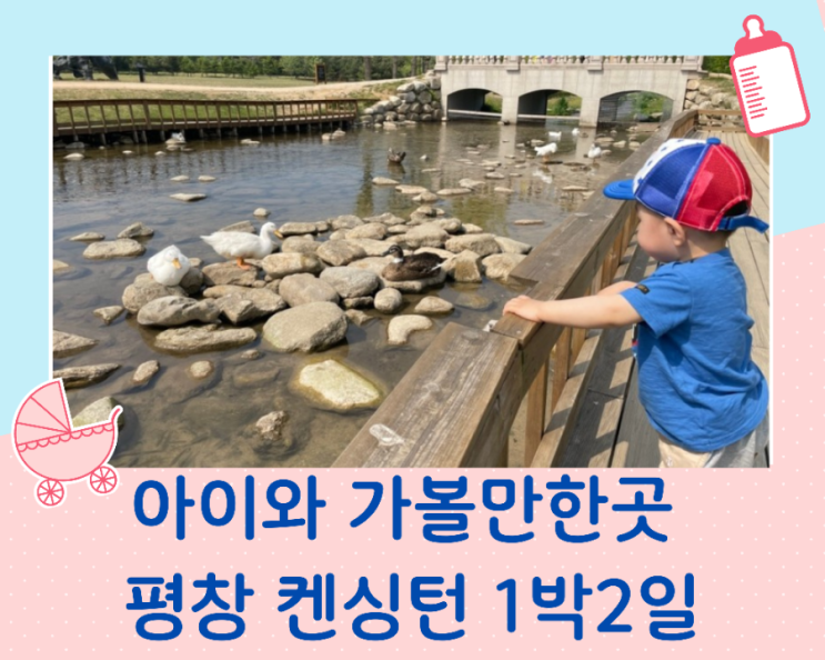  평창켄싱턴 호텔 다양하게 즐기는 아이와 호캉스