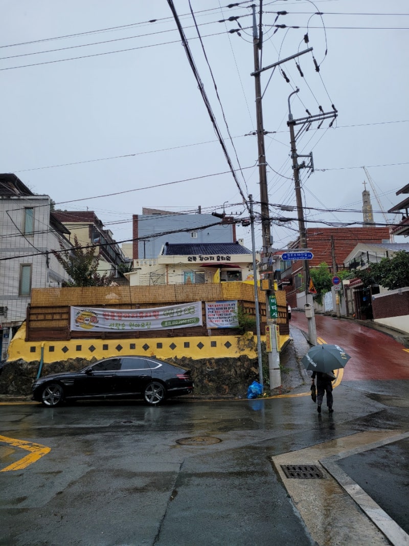 사진 3
