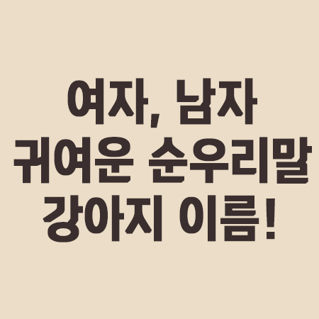 예쁜 강아지 이름 추천 : 귀여운 순우리말, 갈색, 흰색, 여자 이름짓기