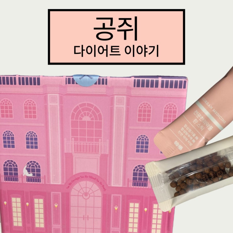  성수역다이어트한의원 나리환 공쥐의 다이어트 후기 시작!
