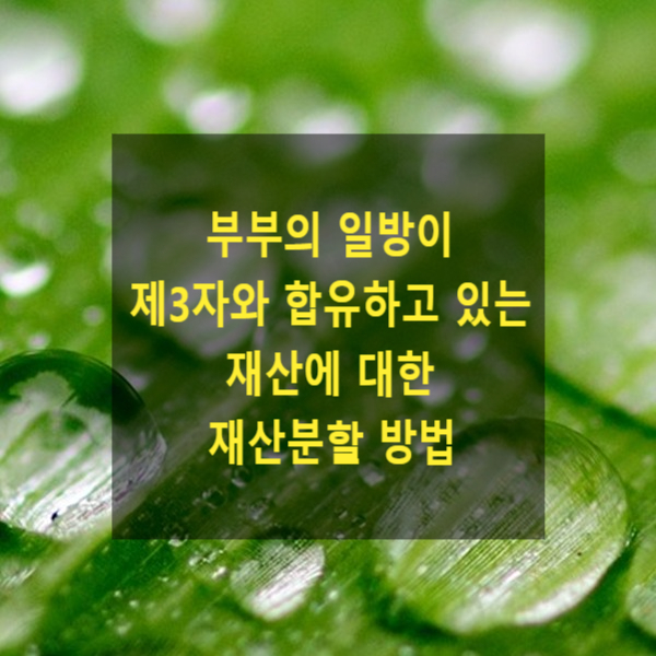  이혼 시 재산분할에서 부부의 일방이 제3자와 합유하고 있는 재산에 대한 재산분할 방법