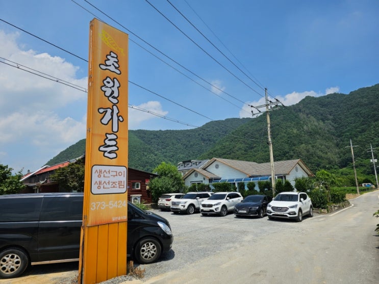  웨이팅 한 시간? 기다릴 가치가 있는 생선구이 맛집! 영월 초원가든, 3인 이상 가는 것 추천!