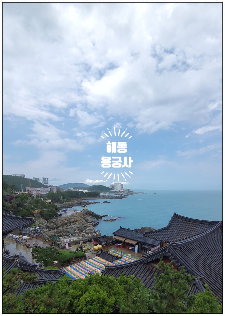  소원이 이루어지는 한국에서 가장 아름다운 절! 비내리는 해동용궁사