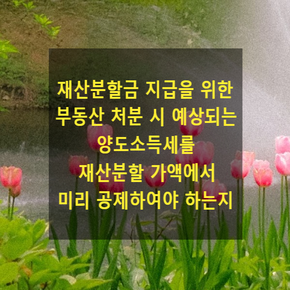  이혼 시 재산분할금 지급을 위한 부동산 처분 시 예상되는 양도소득세를 재산분할 가액에서 미리 공제하여야 하는지