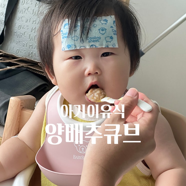 양배추큐브 6 7개월 아기변비에 좋은 음식 이유식야채큐브