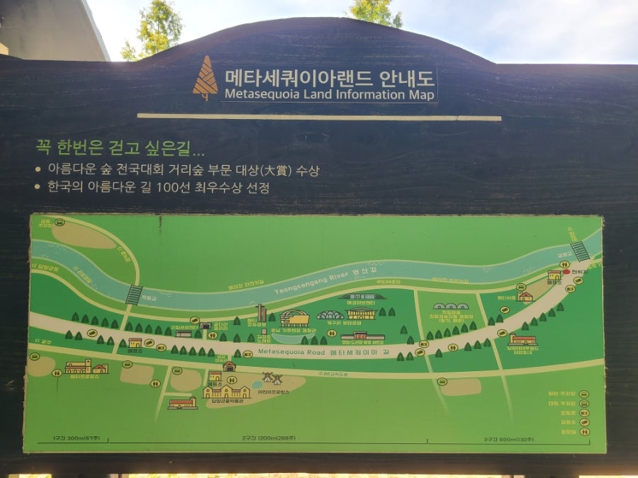 수목길 사진 4
