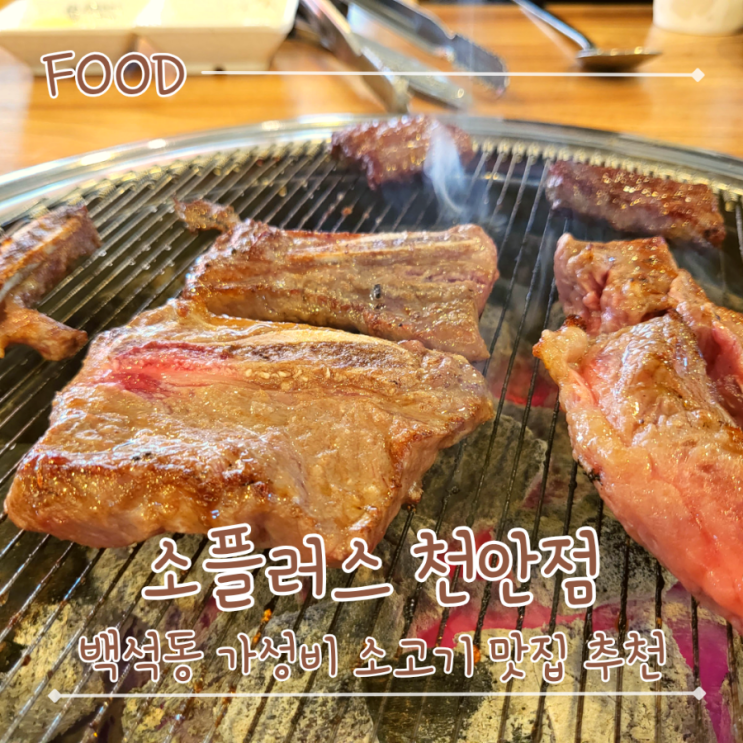  천안 백석동 소고기 맛집 추천 참숯 생소갈비살, 생꽃갈비 - "소플러스 천안점"