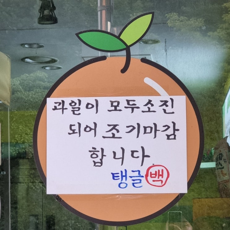  [230808,9] 주짓수 126회,127회 (노기)