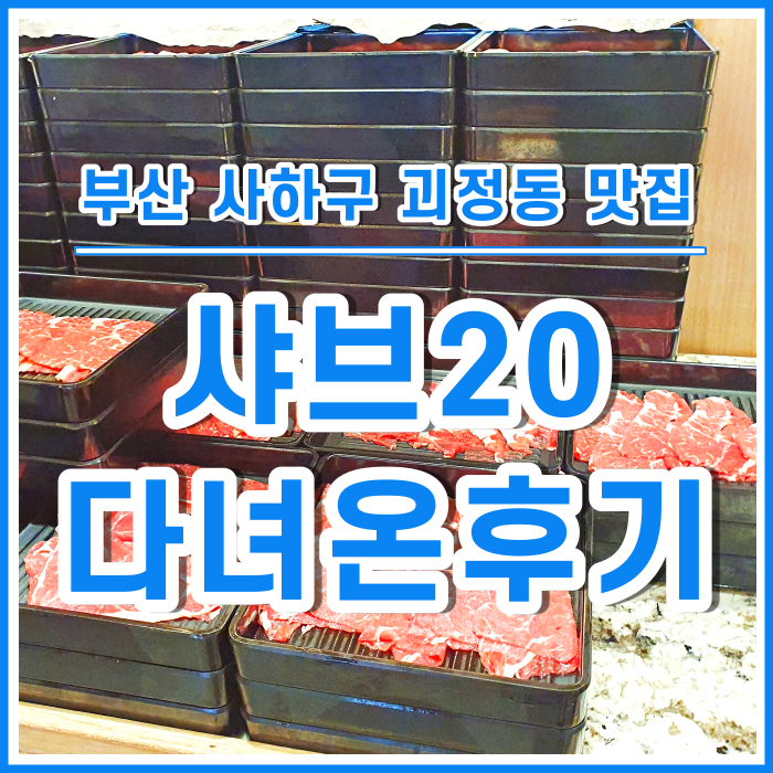  [괴정맛집] 내돈내산 샤브20에서 무한샤브샤브 점심식사 다녀온 후기