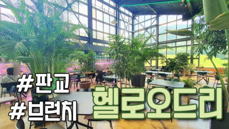 성남 판교 : 헬로오드리 브런치 카페