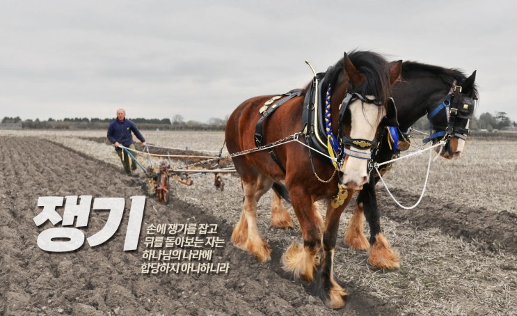  손에 쟁기를 잡고 뒤를 돌아보는 자는 하나님의 나라에 합당하지 않다.