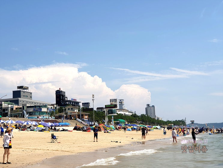  보령여행 보령여행 더반힐 리조트펜션, 오천항, 보령 충청수영성, 충청수영객사, 보령카페 우유창고, 대천해수욕장