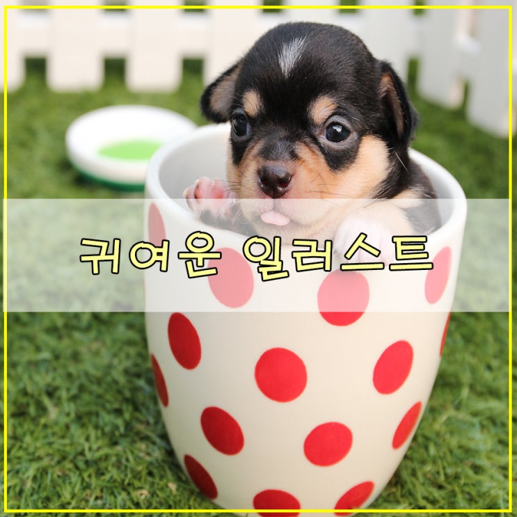  [귀여운 일러스트 그리기] | 강아지 이미지를 활용한 캐릭터 그림 어도비 일러스트레이터