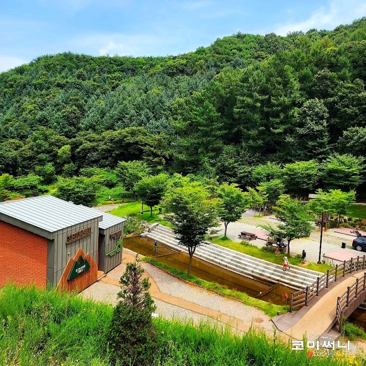 안성 서운산 자연휴양림 캠핑! 야영장 제1오토 캠핑장 1번 (전체 오토캠핑장과 야영데크 정보)