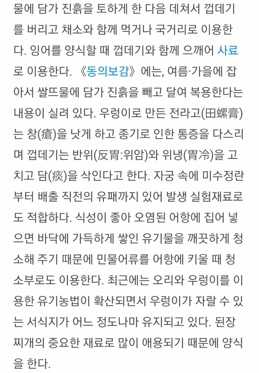 대통령우렁이쌈밥 사진 5