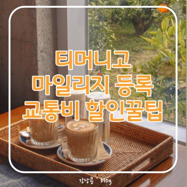 티머니고 마일리지 적립, 마일리지 카드등록하고 교통비 할인받기