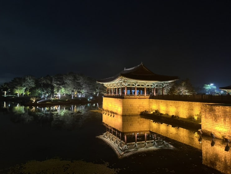  경주 야경명소 동궁과 월지 안압지 후기ㅣ운영시간 입장료