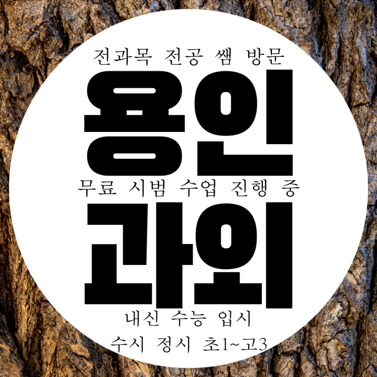  용인 동백 영수과외 용인시 물리 화학 동백동 과외구하기 선생님
