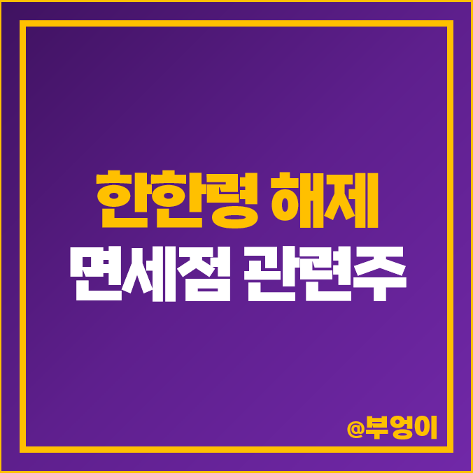 면세점 주식, 중국 단체 관광 허용, 한한령 해제 관련주, 대장주 토니모리