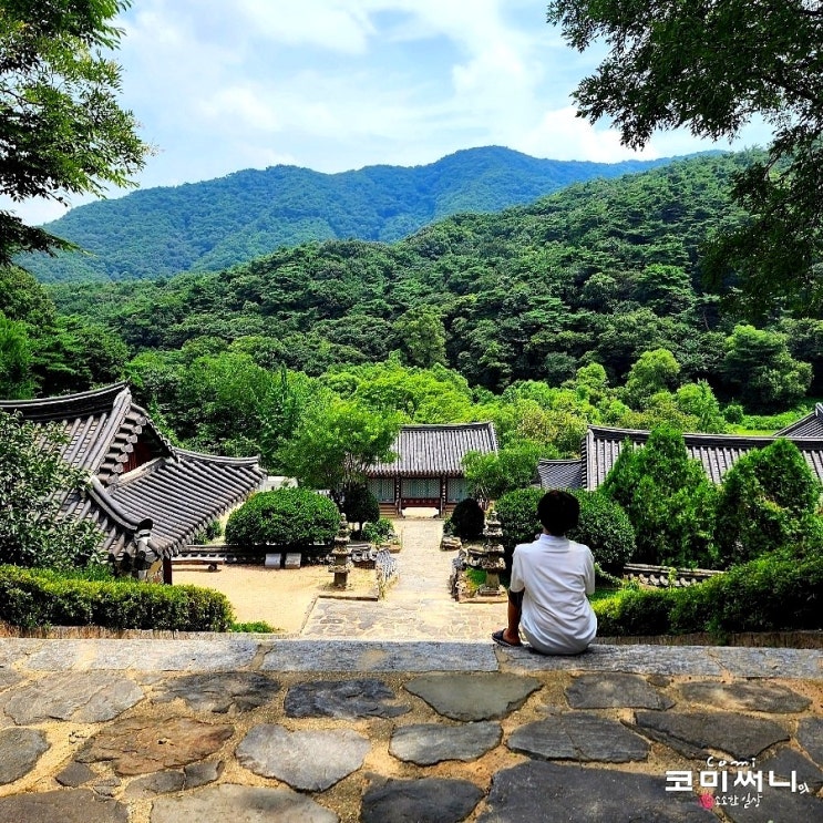 [안성 유명 사찰] 서운산 석남사 대웅전과 영산전 :도깨비 촬영지