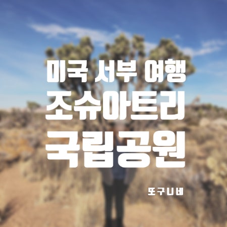  조슈아 트리 국립공원 미국 서부 LA 근교 여행 Joshua Tree National Park 캠핑