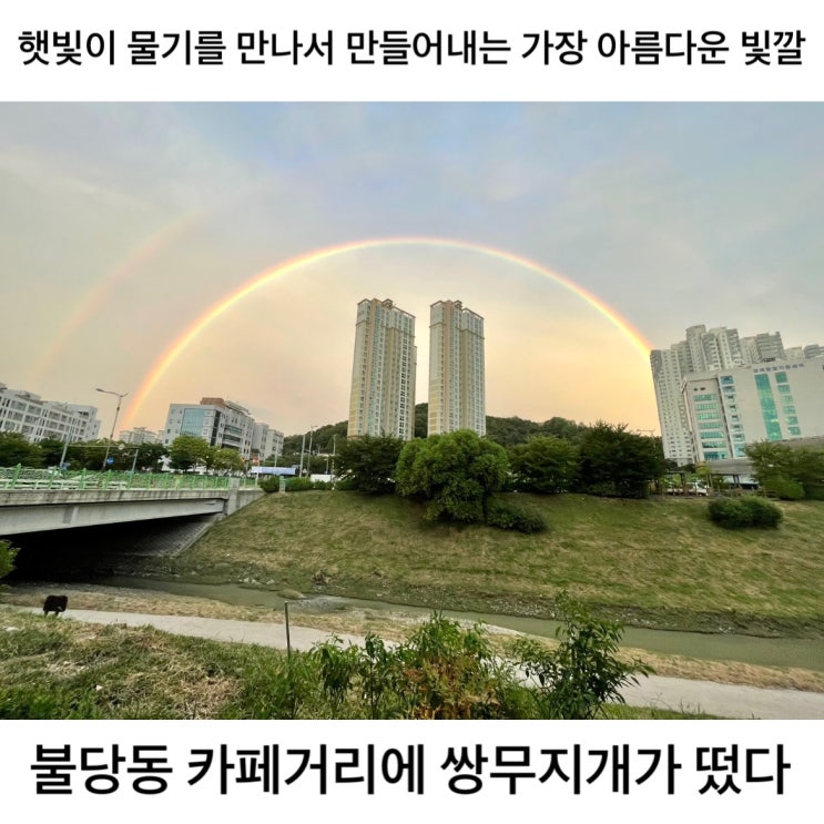불당동 카페거리에 쌍무지개가 떴다 / 슬쌍디아빠 이동섭