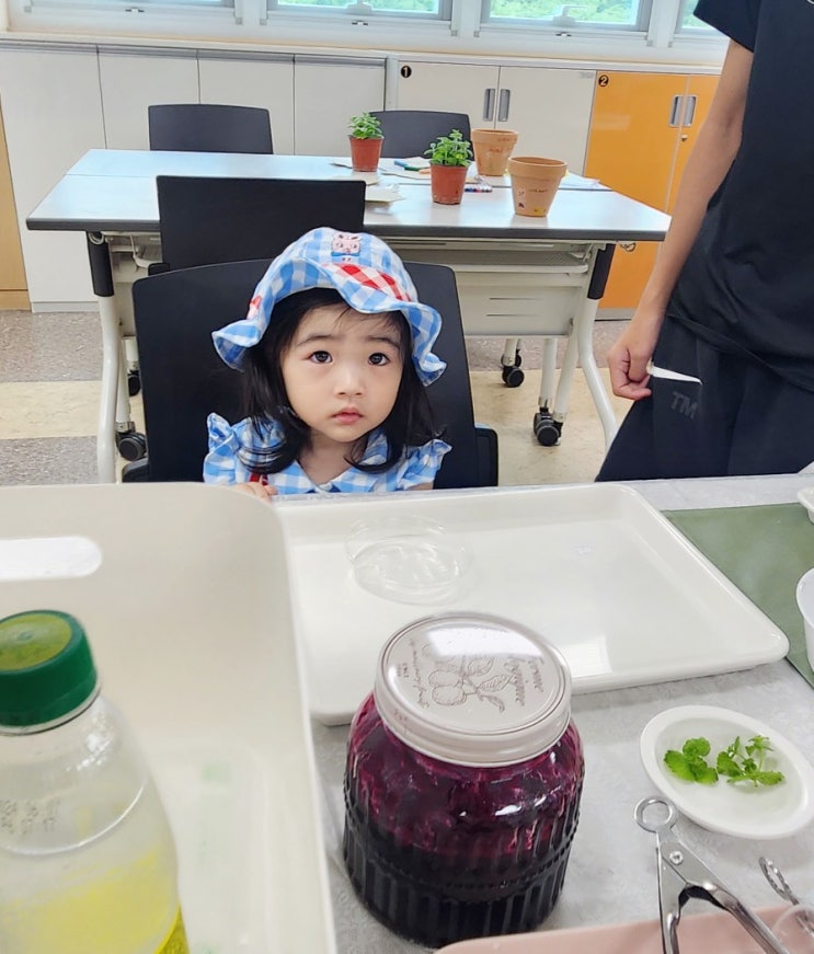  창원 아이와 가볼만한곳 창원단감테마공원 실내체험 테마파크