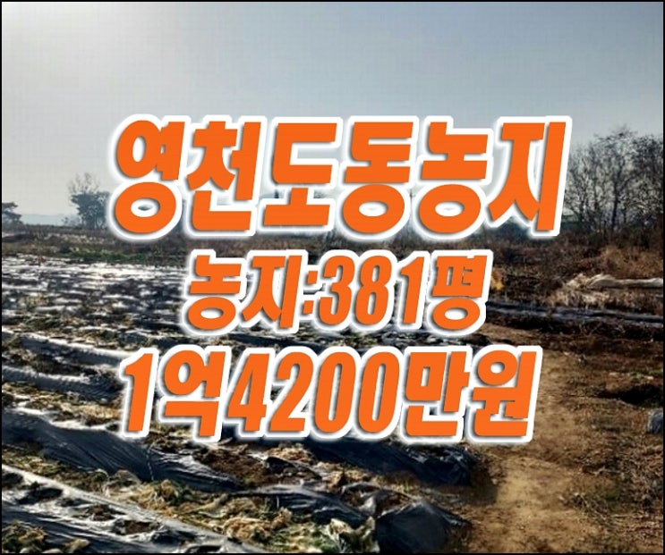 영천 농지 매매 경매 영천시 도동 농지 땅 제2종일반주거지역 영천 농지 매매 경매 영천시 도동 농지 땅 제2종일반주거지역