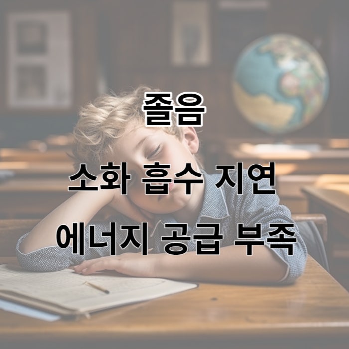  알마겔정 알마게이트 효능 부작용 기전 졸음