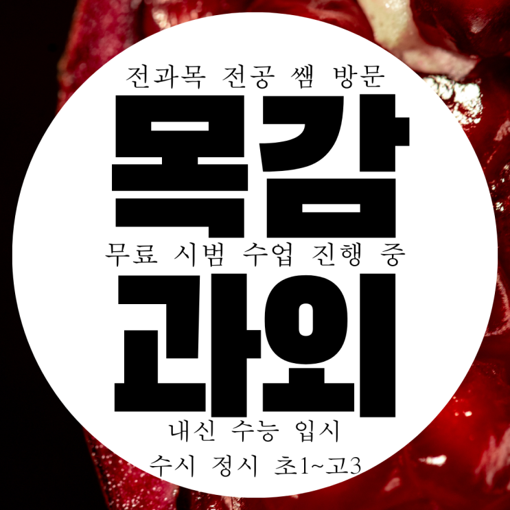  목감 영수과외 시흥 목감동 물리 화학 과외선생님 구하기 전과목