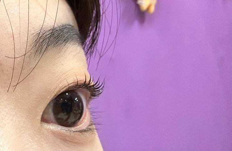  [내돈내산] 의정부역 속눈썹펌 꼼꼼하게 잘하는 곳, SM브로우 추천!