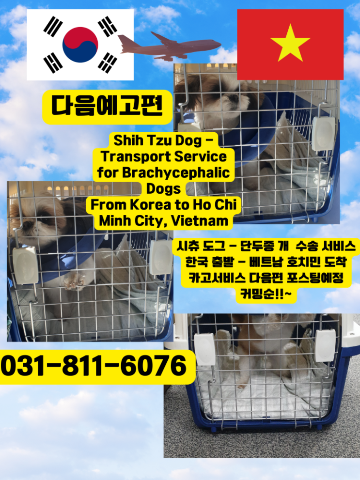  강아지 고양이 반려동물 해외운송 [호치민 카고]