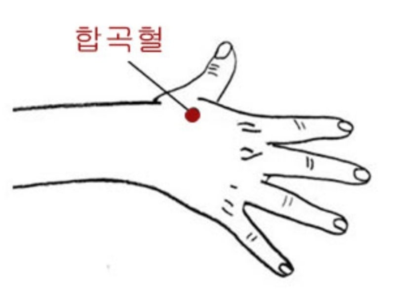 숙취해소에 좋은 혈자리 지압법 합곡혈 태양혈 내관혈 지압 셀프지압
