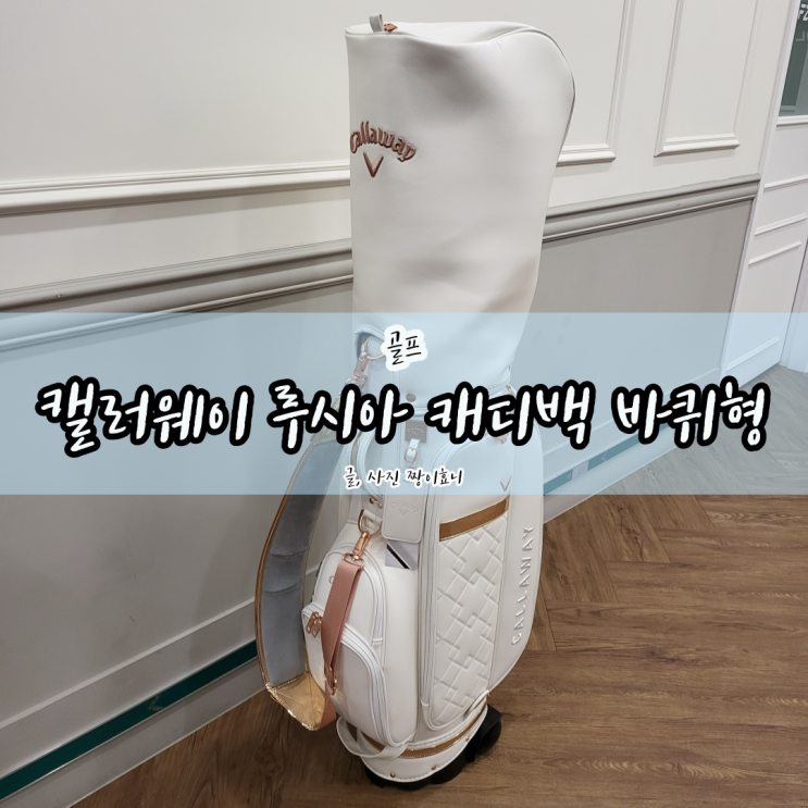  [여성 골프백] 2023 캘러웨이 루시아 캐디백 바퀴형 내돈내산 리뷰