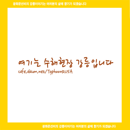  태풍 루사의 악몽 "여기는 수해현장 강릉입니다"