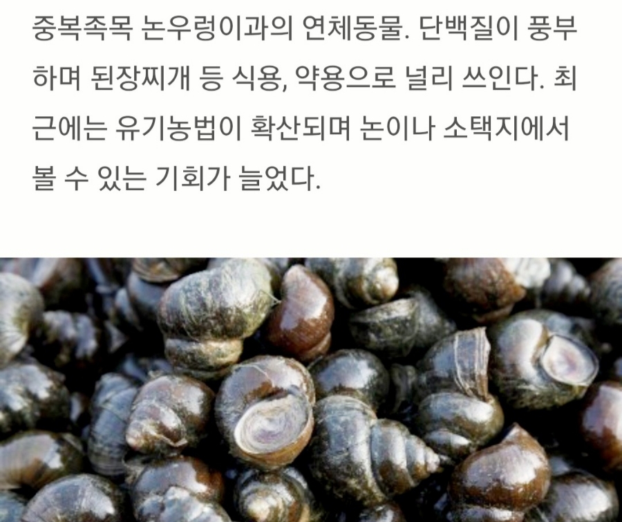 대통령우렁이쌈밥 사진 2
