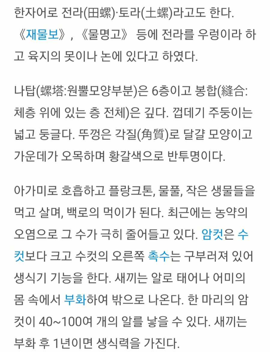 대통령우렁이쌈밥 사진 4