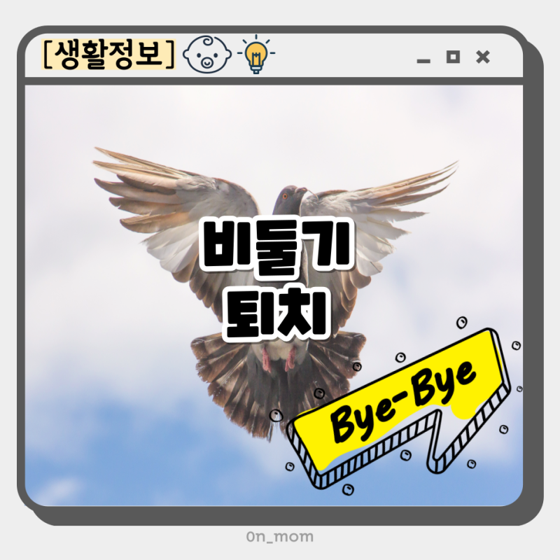 비둘기퇴치 아파트 베란다 실외기 다이소 비둘기 알 퇴치제 퇴치약 퇴치업체 퇴치망 퇴치방....