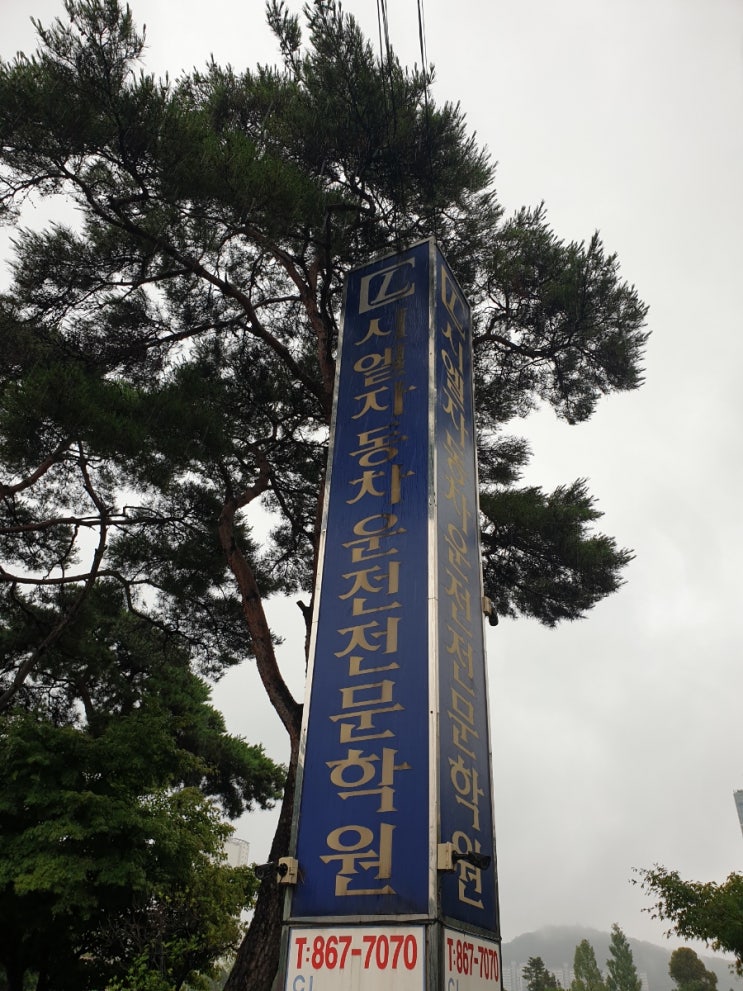  시엘 자동차운전전문학원 / 기능 시험 / 도로주행 시험 / 합격 / 2종보통 / 면허증
