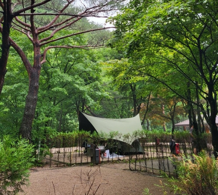 소백산 국립공원 남천 야영장 후기 - 어우 습하다 습해!