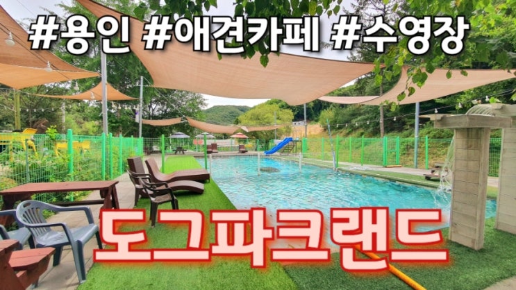  [경기 용인] 도그파크랜드 애견카페 수영장 애견동반가능