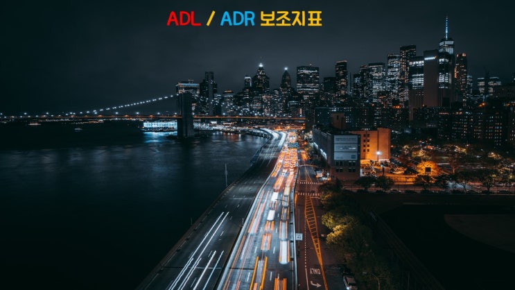 ADL/ADR 보조지표