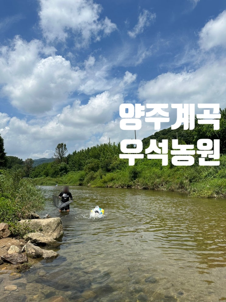  경기도 양주 계곡 우석농원 고기먹고 아이와 놀기좋은곳 추천
