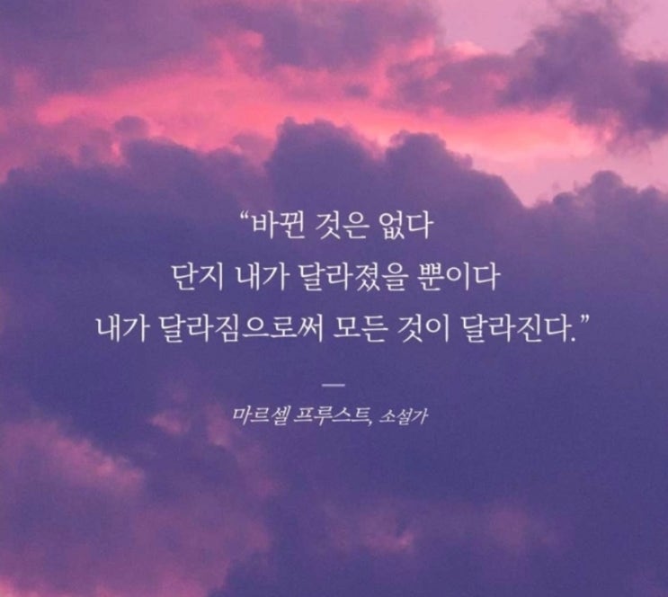  부거사이 [부동산 뉴스와 블로그] 8월 14일(월)