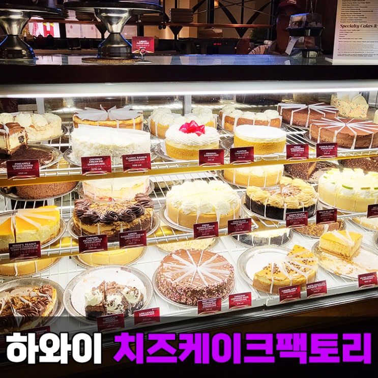  하와이 호놀룰루 맛집 치즈 케이크 팩토리 메뉴 추천