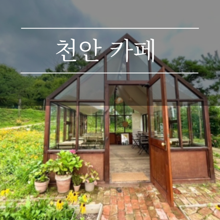  천안 가볼만한곳 이숲 카페 애견동반 핑크뮬리 경기도 대형 카페 추천