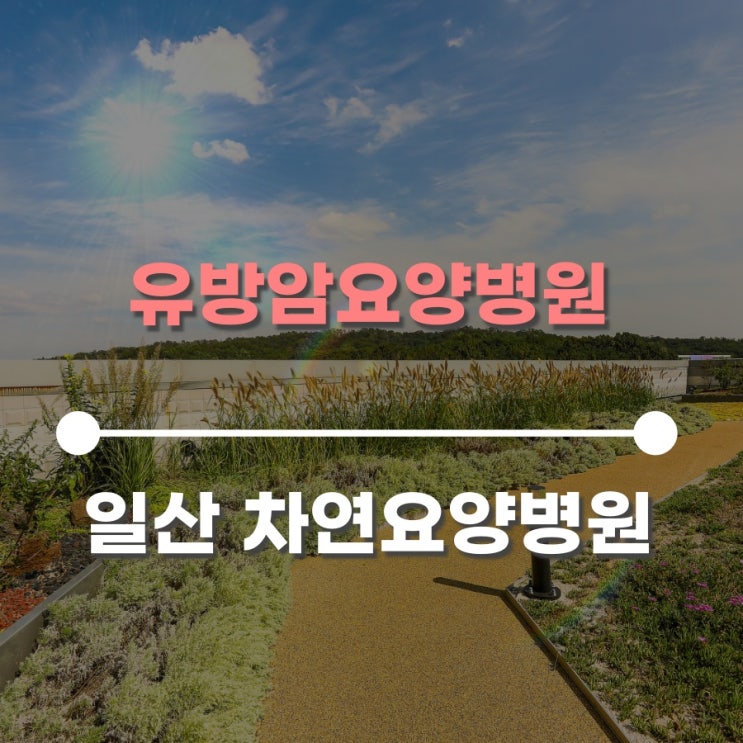  유방암요양병원에서 도움을 받을 수 있는 식습관 관리