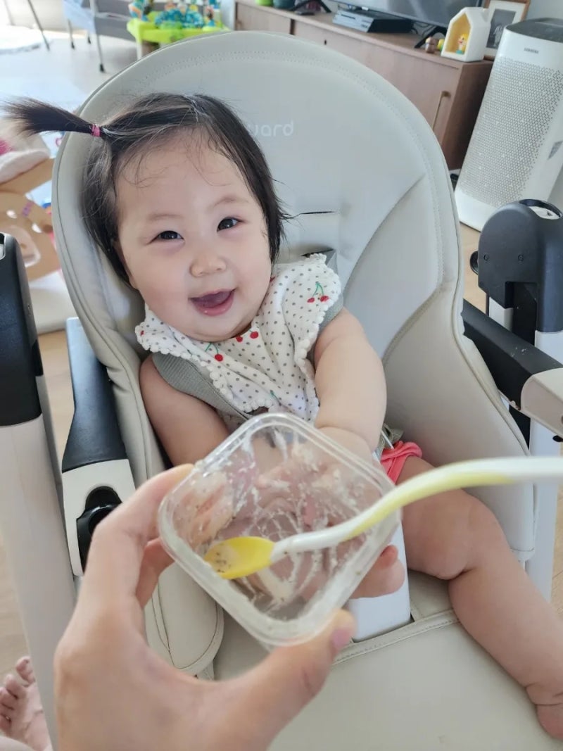 빼그빼레고 시에스타 아기식탁의자 시트 교체하기